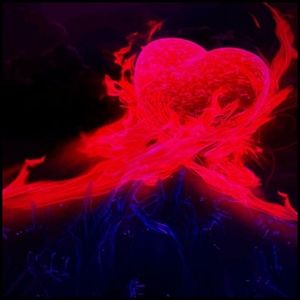 Meet your Posher, Anita